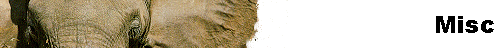  Misc 
